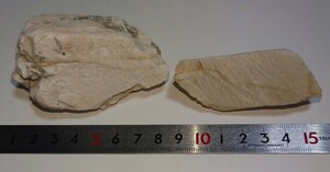 *kali length stone Ishikawa block production domestic production mineral specimen 