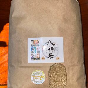 新米　無農薬　熊本県産　くまさんの輝き　5kg