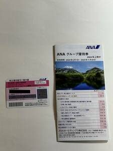 送料無料 全日空 ANA株主優待券1枚　2024年6月1日～2025年5月31日