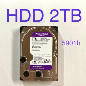 ★ 2TB WD Purple WD20PURZ Western Digital 3.5インチ SATA HDD 中古 ★