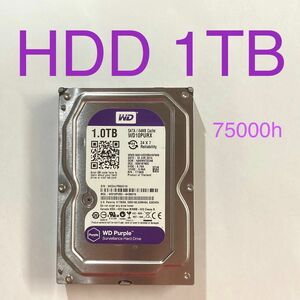 ★ 1TB WD PURPLE WD10PURX Western Digital 3.5インチ SATA HDD 中古 ★