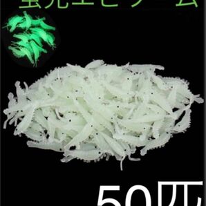 釣り オキアミ エビ ワーム 50匹 ピンク