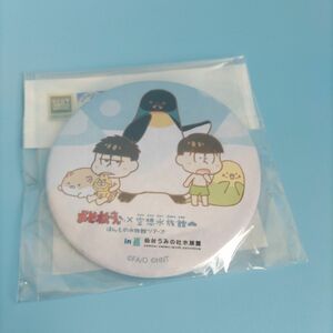 缶バッジ　おそ松さん　チョロ松　一松　ペンギン　水族館　限定　未開封