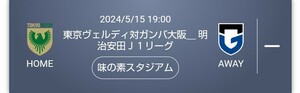 東京ヴェルディ対ガンバ大阪 バックBホーム 味の素スタジアム 2024/5/15 19:00