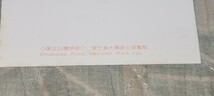 1790　絵葉書　国立公園伊豆　堂ヶ島大幕岩と遊覧船_画像3