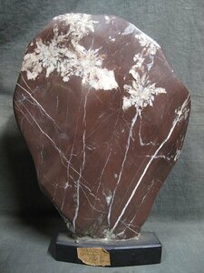 A6311 production ground unknown red ground chrysanthemum stone 1.6kg appreciation stone objet d'art 