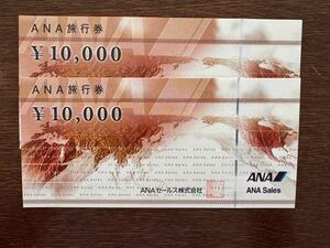 ANA билет на проезд 2 десять тысяч иен минут 