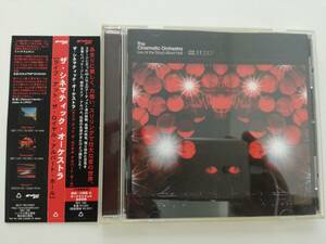 ザ-シネマティック・オーケストラ / ライブ・アット・ザ・ロイヤル・アルバート・ホール / Beat Records / BRC-189 / CD