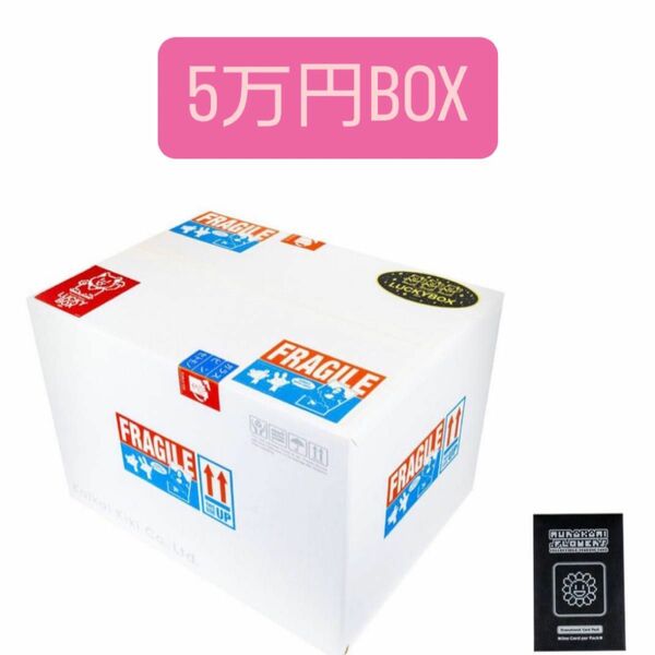 村上 隆 Tonari no Zingaro 5万円 LUCKY BOX