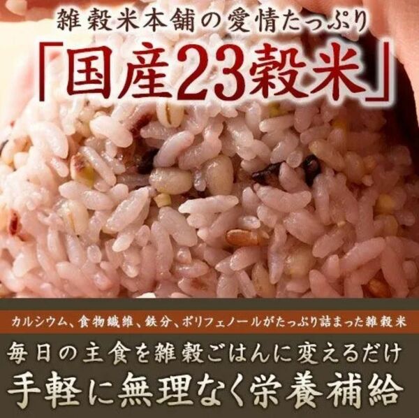 今だけ超特価！大人気バカ売れ即売れ！23穀米雑穀米450g安心安全の国産米