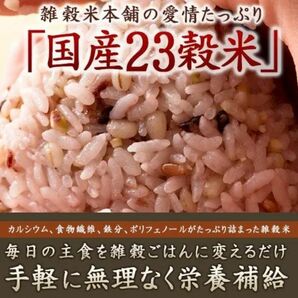 今だけ超特価大人気バカ売れ!23穀米雑穀米450g×2袋セット安心安全の国産米