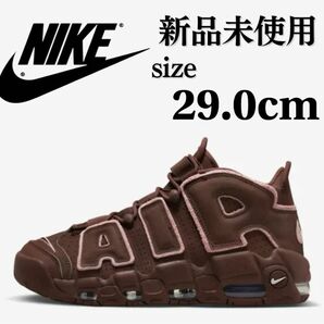 【残り 1点】完売品 29.0cm NIKE AIR MORE UPTEMPO ‘96 Dark Pony