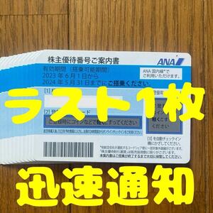 【即決】【迅速通知】ANA 全日空 株主優待券 株主番号案内書 番号通知のみ