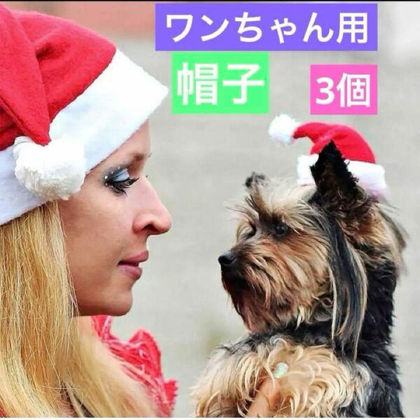 ペット犬クリスマスパーティーサンタ帽子 3個