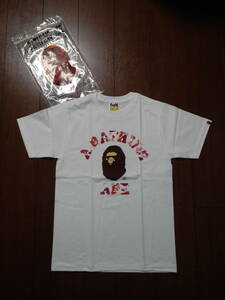 A BATHING APE APE カレッジロゴTee S 広島店舗限定カラー ア ベイシング エイプ BAPE ベイプ 限定 Tシャツ カレッジTee