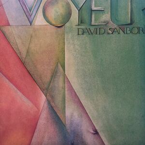 デイヴィッド・サンボーン David Sanborn Voyeur jazz ジャズ フュージョン LP レコード 5点以上落札で送料無料i