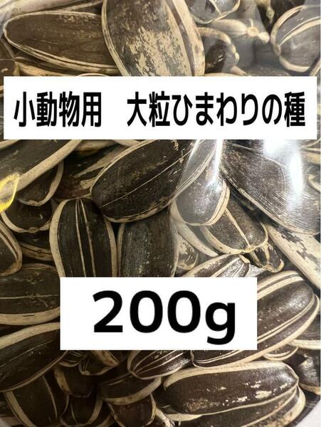 大粒 ひまわりの種200g 小動物 ハムスター　インコ　送料無料！