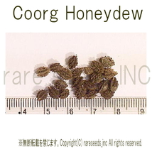 ■美味芳醇パパイヤ クールグ ハニーデュー Coorg Honeydew Papaya 種子10粒+説明ラベル付き　 ⑫　**ц**_画像2