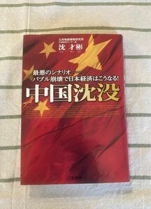 中国沈没／沈才彬　シンサイヒン　美品