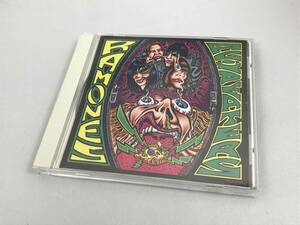 ★帯付き★ラモーンズ アシッド・イーターズ Ramones Acid Eaters★CD・TOCP-8061★