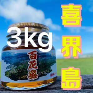 喜界島 百花蜜 3kg 蜂蜜 国産