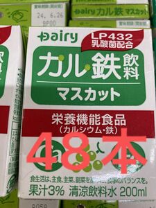 ヨーグルッペ　カル鉄　マスカット　48本