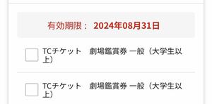 TOHOシネマ　大人チケット2枚②