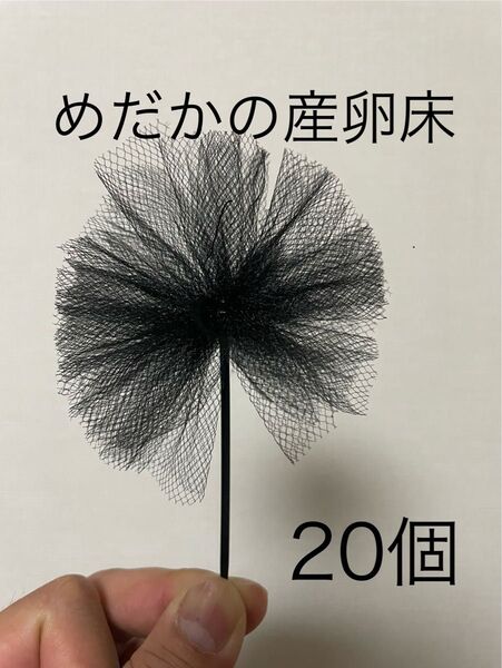 【めだか産卵床20個(チュール生地黒)の商品】