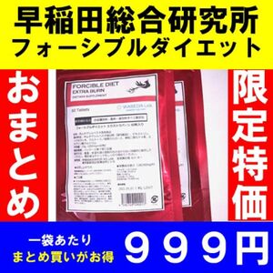 限定！まとめ売り特価3袋6ヶ月分　早稲田総合研究所フォーシブル　ダイエットサプリ　食品