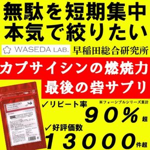 好実績13000超！短期集中最短サプリ　タイムセール価格　早稲田総合研究所フォーシブル　ダイエットサプリ　HMB等にも