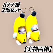 ⑤【２個セット】猫ミーム バナナ猫 バナナキャット キーホルダー ４種類の音声付き ぬいぐるみ 泣いてる猫 YouTube TikTok SNS 大人気商品_画像2