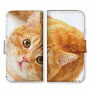 多機種対応 手帳型 スマホ ケース カバー iPhone15 AQUOS Galaxy Xperia 猫 Cat 写真