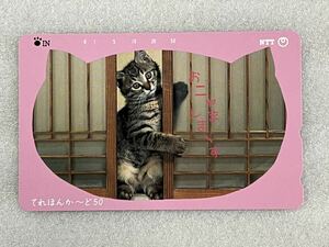 テレホンカード 猫 ねこ ネコ 子猫 子ネコ 子ねこ おニャましまーす 未使用 50度数 テレカ テレフォンカード NTT 公衆電話 S-18