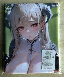 AHM000282 アズールレーン インプラカブル ★抱き枕カバー45*90cm 2way★ タオル ポスター タペストリ