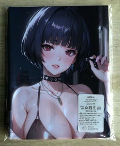 AHM000300 ペルソナ 武見妙 ★抱き枕カバー45*90cm 2way★ タオル ポスター タペストリー メール便可