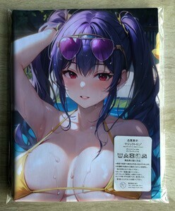 AHM000130 アズールレーン ポーラ ★抱き枕カバー45*90cm 2way★ タオル ポスター タペストリー メール