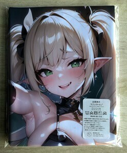 AHM000132 エルフ村暗殺者 ★抱き枕カバー45*90cm 2way★ タオル ポスター タペストリー メール便可