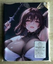 AHM000180 対魔忍 水城不知火 ★抱き枕カバー45*90cm 2way★ タオル ポスター タペストリー メール便可_画像1