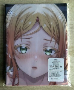 T-AHM000008 異世界おじさん ★抱き枕カバー45*90cm 2way★ タオル ポスター タペストリー メール便可