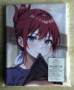 T-AHM000016 RAIL WARS! * Dakimakura cover 45*90cm 2way* towel poster tapestry mail service 