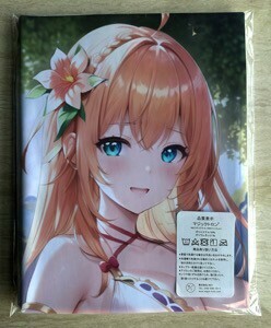 T-AHM000026 プリンセスコネクト！ReDive ★抱き枕カバー45*90cm 2way★ タオル ポスター タペストリー