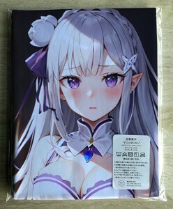 T-AHM000113 Reゼロから始める異世界生活 ★抱き枕カバー45*90cm 2way★ タオル ポスター タペストリー メ