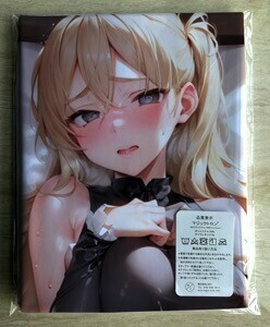 T-AHM000122 Zara 艦これ00038 ★抱き枕カバー45*90cm 2way★ タオル ポスター タペストリー メー