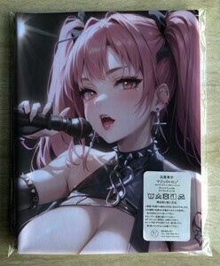 T-AHM000139 バンドガール ★抱き枕カバー45*90cm 2way★ タオル ポスター タペストリー メール便可