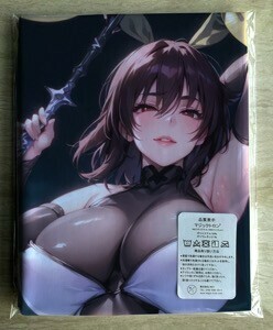 T-AHM000180 対魔忍 水城不知火 ★抱き枕カバー45*90cm 2way★ タオル ポスター タペストリー メール便可