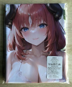 T-AHM000273 Nilou ★抱き枕カバー45*90cm 2way★ タオル ポスター タペストリー メール便可