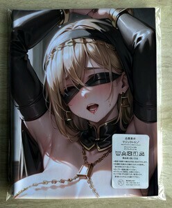 T-AHM000289 シスター ★抱き枕カバー45*90cm 2way★ タオル ポスター タペストリー メール便可