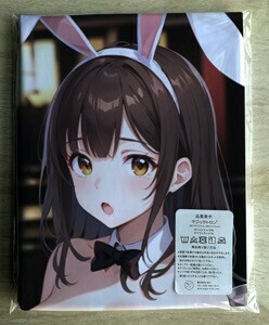 T-AHM000310... super * Dakimakura cover 45*90cm 2way* towel poster tapestry mail service possible 