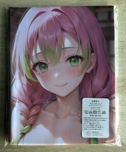 T-AHM000316.. temple molasses .* Dakimakura cover 45*90cm 2way* towel poster tapestry mail service possible 