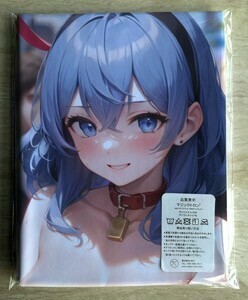 T-AHM000348 heaven rain ako* Dakimakura cover 45*90cm 2way* towel poster tapestry mail service possible 